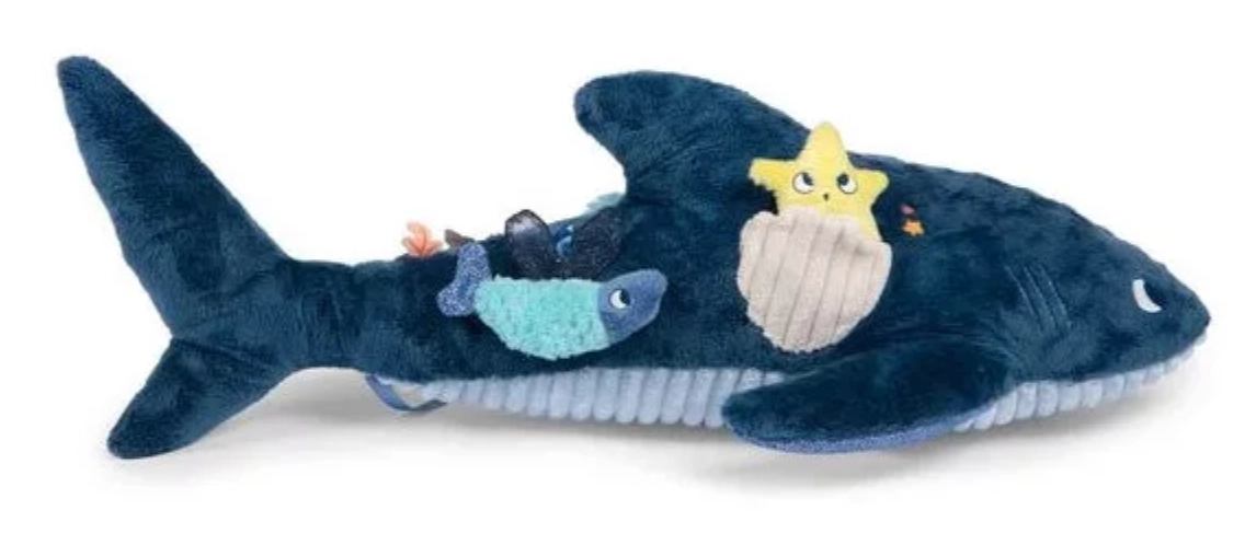 Grand requin d'activités photo 4